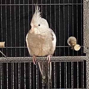 Meet your Posher, Stacey